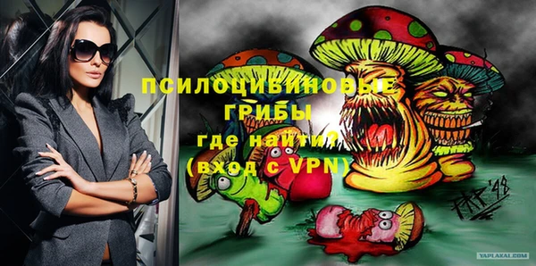 стафф Няндома