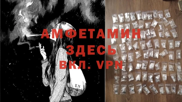 сатива Нягань