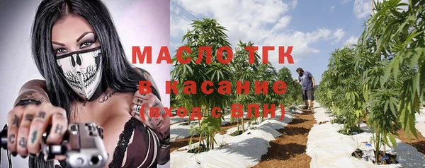 сатива Нягань
