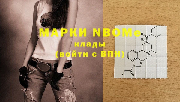 стафф Няндома