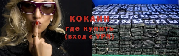 сатива Нягань