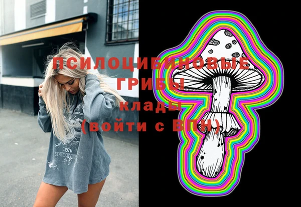 сатива Нягань