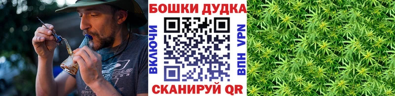Канабис сатива Кирсанов